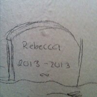 Rebecca poor - @rebeccapoor53 Twitter Profile Photo