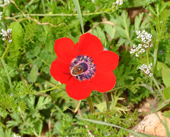 Toosh77's profile picture. 