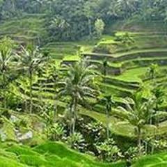 Twitter resmi http://t.co/9TZkYKnzcZ Villa  Anandani Ubud Bali