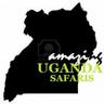 amzngsafaris's profile picture. Handler of #Budget #Group accommodation, day trips & tour plans for #travelers to Fort Portal Tourism City #Uganda DM info or Whatsapp