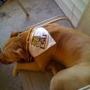 randall rhodes - @hype985 - Twitter