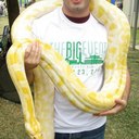 Brian Vicari - @BrianVicari1 - Twitter