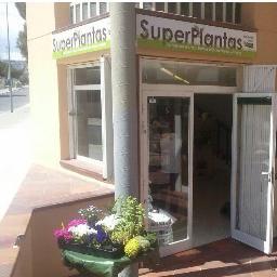 Tienda especializada en Horticultura Técnica, Plantas exóticas, Interior y Exterior.