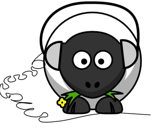 woolpackyork's profile picture. Very friendly independent music pub/venue with an amazing array of beers! Just outside York city walls. Post-punk, alt-folk, electronica, americana, indie etc!