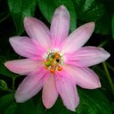 Matthew Telfer - @MatthewTelfer1 - Twitter