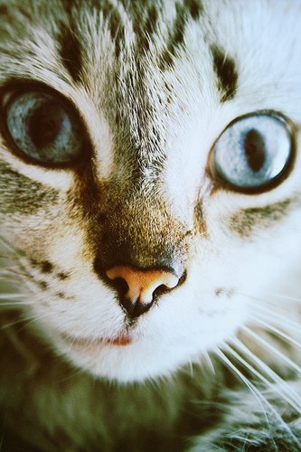 Follow me and i follow you back^^