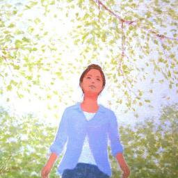 細谷晶夫さんのプロフィール画像