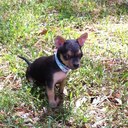 Lora estep - @Willo843 - Twitter