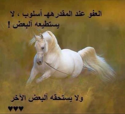 يقولون تكبر وتنسى كبرنا وما نسيناكم
كبرنا وكل ما نكبر تزيد اشواقنا ونصغر