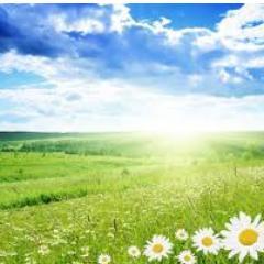 MyHealthMatters's profile picture. Without our health we have no wealth....