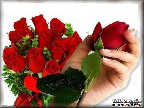 ماعـــــــرف ازعــــــل بــــس داخلــــي احســــاس ينجـــــــــرح (