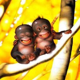 funnythings66's profile picture. Have a laugh with us !!
We send you the best jokes, funny pictures and other nice things.