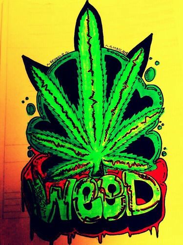 fumando vamos a casa cultivando amor cosechar esperanza// fumando siempre ganja de la buena// gran seguidor de la musica ska,rap,rock, heavy y sobretodo reggae