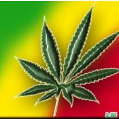 Yes my last name really is Stoener, and as fate would have it I'm a stoner. Living life and posative vibes is all