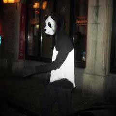 Never say no to PANDA !