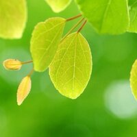 shinsyu_photo (@shinsyu_photo) 's Twitter Profile Photo shinsyu_photo (@shinsyu_photo) 's Twitter Profile Photo