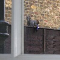 Tyneside Toughened (@judegatez) 's Twitter Profile