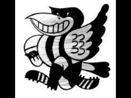 WLB_FC's profile picture. Official Twitter Of The Wickliffe / Lake Bolac Football, Netball Club