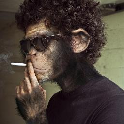 El hombre involuciona, y yo me hago con el control del mundo. Soy un fucker, un tío duro nada de monadas...