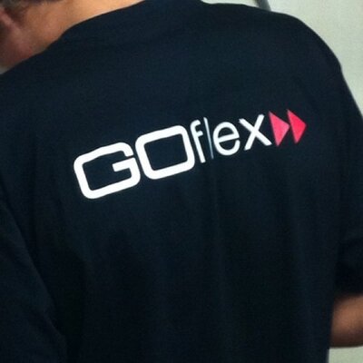 Profile Picture of Robin Schram (@RoGoflex) on Twitter