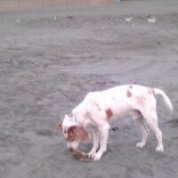 Ku_nel (@__p_a_o) 's Twitter Profile