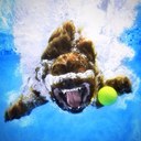 Beverley Cross - @BeverleyCrossed - Twitter