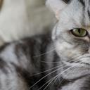 Leo Leong - @drive30654 - Twitter