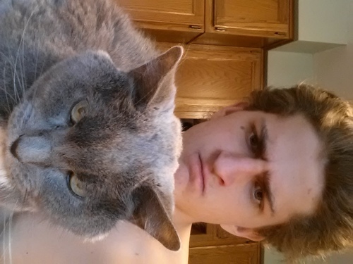 audihi21's profile picture. #spash