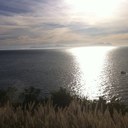 Marlene Oliver - @MarleneOliver17 - Twitter