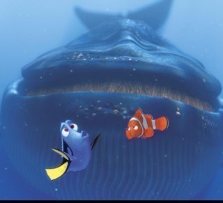 *First Official Dory account- the reason its not as big is because it got suspended* the best investagator of the sea. PARODY