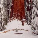 John Hengen - @JohnHengen2 - Twitter