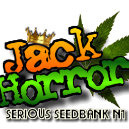 Jack Horror fresh cannabis seeds from Holland