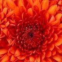 Stacy Hoffman - @StacyJo_Hoffman - Twitter