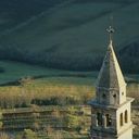 Monica Maynard - @Maynard09M - Twitter