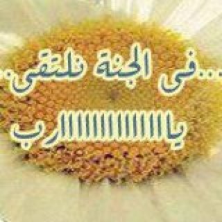 لاني احببتك بصدق جعلت هذا الحساب صدقه لك لكي نلتقي في الجنه باذن الله 
الحب دعاء