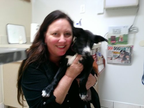 tracypevehouse's profile picture. 