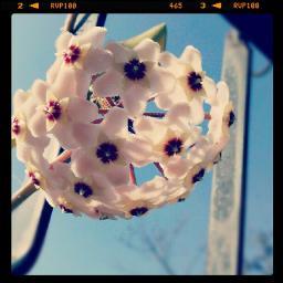 amitkot's profile picture. 