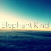 Elephant Kind (@elephantkind_) 's Twitter Profile