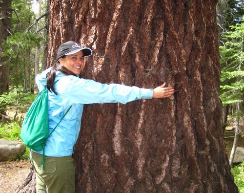 Environmental Sustainability and all things Green