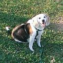 Thomas Willmott - @thw425 - Twitter