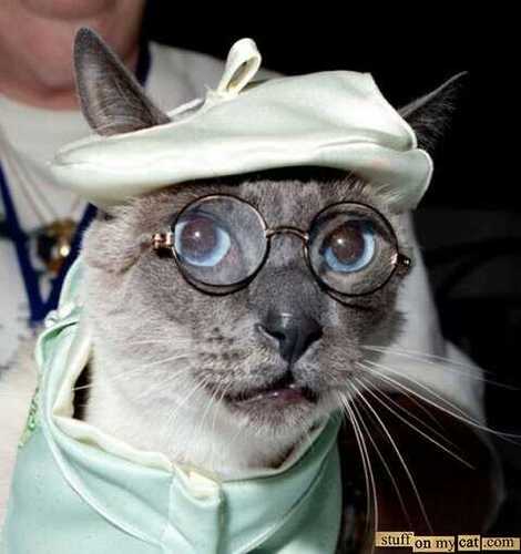 psychelimit's profile picture. 재밌으면 일단 지르고 재미없으면 안해요 
나는 날 잘 알지만 또 나를 아직 잘 모르겠어요 
그냥. 나는 나에요 
\(ㅡㅅ ㅡ)/안아줘