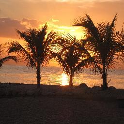 softanainc's profile picture. End-to-end solution for insurance carriers and brokers.