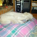 Dan Barrow - @DanBarrowLMT - Twitter