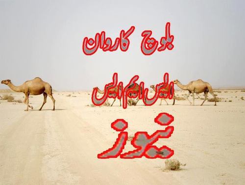 BALOCH_KARWAAN's profile picture. Struggle Till Last Breath.