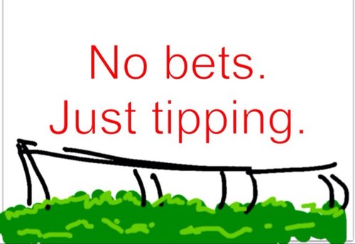 TooYoungToBet's profile picture. I might be too young to bet, but im not too young to tip winners. I pick out all the aspects of each race from the horses time to the weight of their toenails.