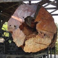 Snoqualmie Life (@snoqualmielife) 's Twitter Profile