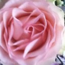 Taylor Skye - @BuergerW - Twitter