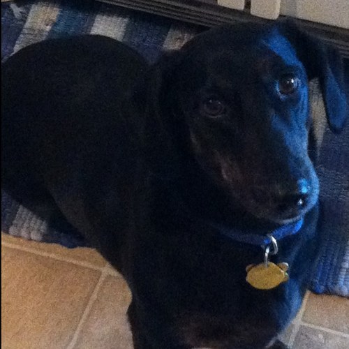 amsmith62's profile picture. 