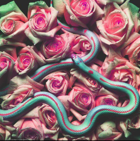 lanadel_gay's profile picture. 