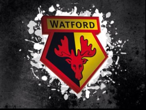 fans_watford's profile picture. Watford fans come on you ornsssssss